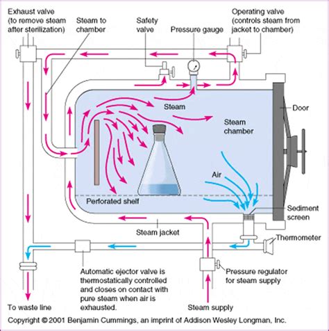 autoclaves for fermenter sterilization|autoclave step by procedure.